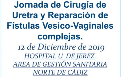 Jornada de Cirugía de uretra y reparación de fístulas vésico-vaginales complejas