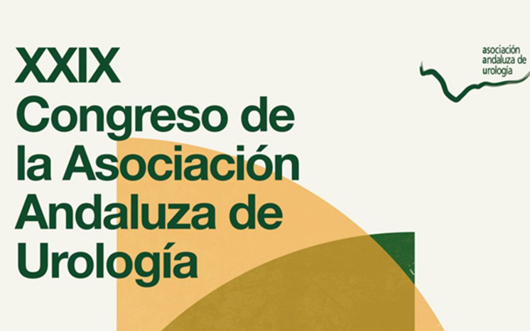 XXIX Congreso AAU 2016