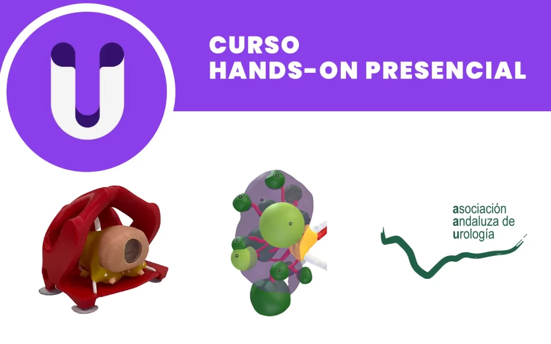 CURSO HANDS-ON PRESENCIAL